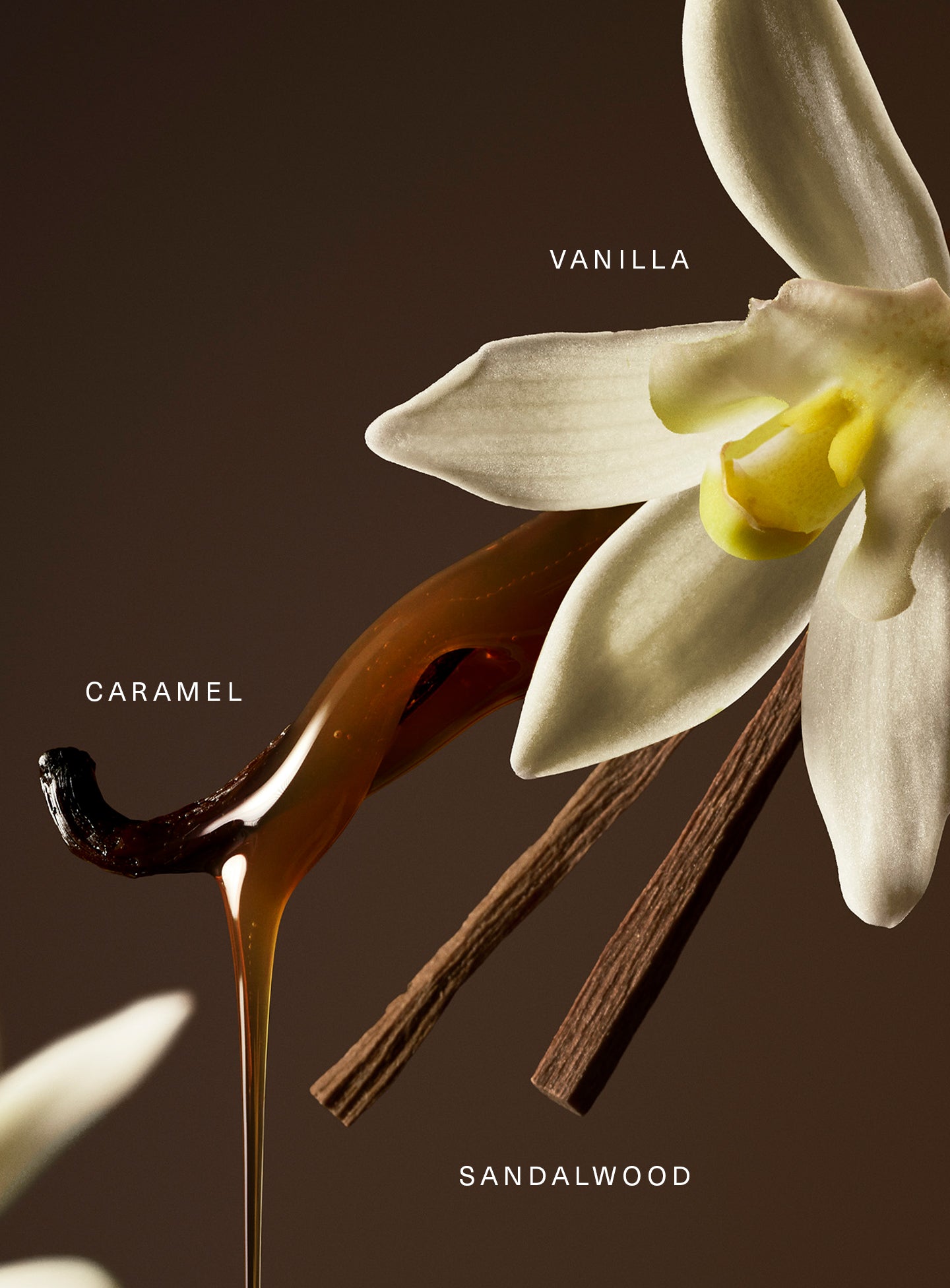 STYLIZED-EDP-KEY-NOTES_f4e2c1d6-7b34-4ec7-a667-a2592b2a3df6-2