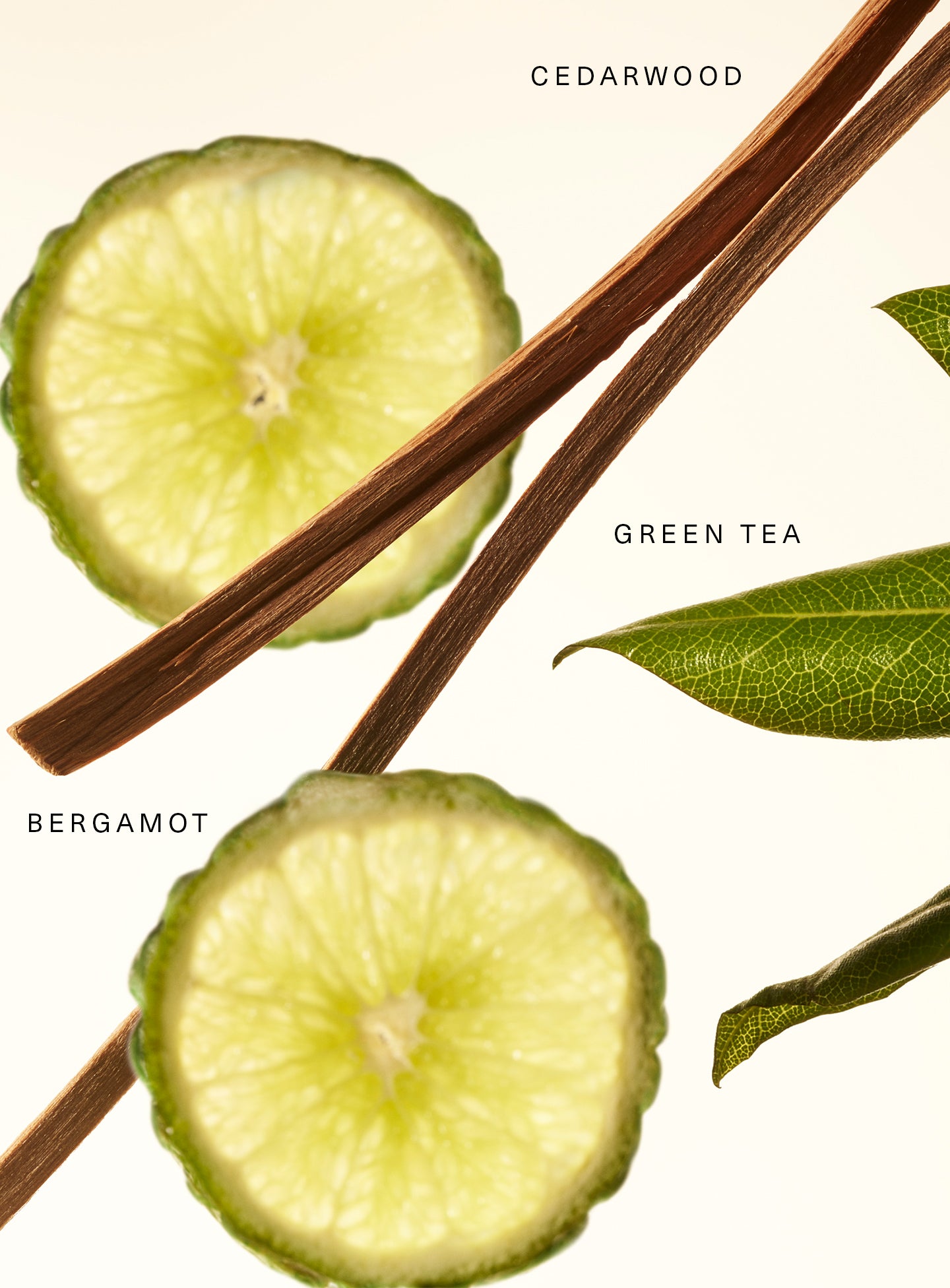 STYLIZED-FRAGRANCE-LAYERING-BALM-FRESH-KEY-NOTES-2